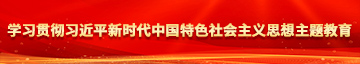 黑丝美女被狠狠干学习贯彻习近平新时代中国特色社会主义思想主题教育